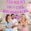 Its Me Hi Im The Birthday Girl Its Me Banner,Popular
