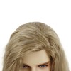 20 inch Long Blonde 80s Wig for Men Curly Rocker