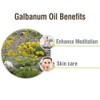 Crysalis Crysalis Galbanum (Tetrapleura Tetraptera) Oil - 1.69 Fl Oz