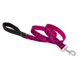 LupinePet Originals 1" Plum Blossom 4-Foot Padded Handle Leash for Medium and Larger Dogs