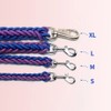 Love Dream Dog Collar and Leash Set, Heavy Duty Nylon