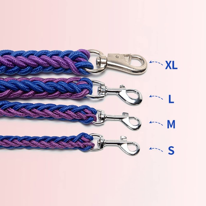 Love Dream Dog Collar and Leash Set, Heavy Duty Nylon