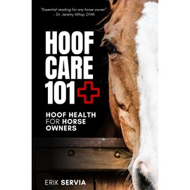 Hoof Care 101: Hoof Health for Horse Owners