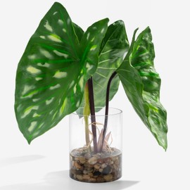 SUNPRAIRIE Tropical Artificial Plant in Clear Pot with Artificial Water, Wide Arrowhead Leaves. Faux Plants Indoor and Outdoor