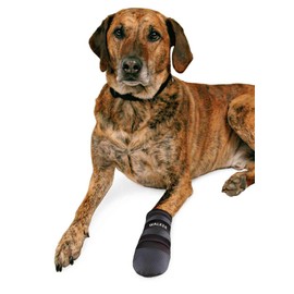 Trixie Walker Care Protective Boots, Medium, 1 Pair