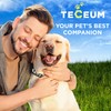 TECEUM Reflective Pet Collar – Black - Service Dog –