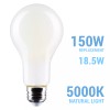 Satco S12449 LED 120 Volt 18.5W 150W A21 Medium E26