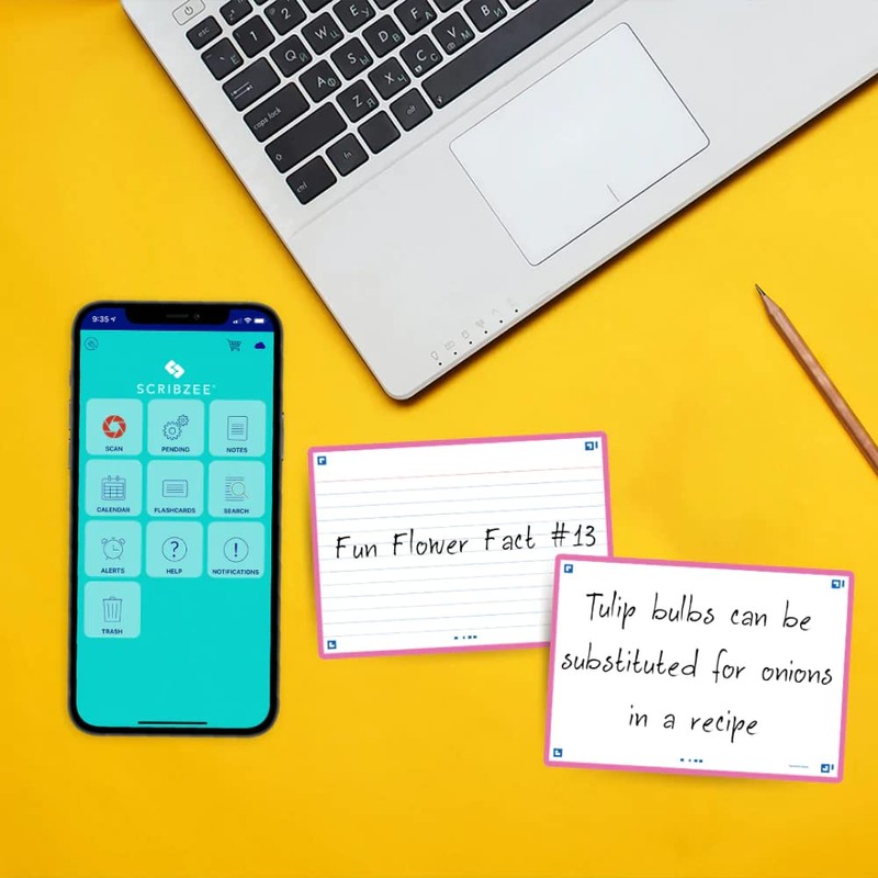 Hamelin Flash 2.0 Flashcards, 4x6 Index Cards 80ct Fuchsia Pink