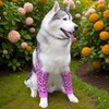 Sharkwill Dog Elbow Wraps Knee Protector Pads Elbow Callus Treatment