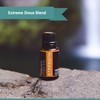 Nature's Fusions Strength, 100% Pure and Natural Essential Oil Blend