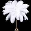 Retrowavy 30 Pcs 14-16 Inches Large Natural Ostrich Feathers Bulk