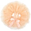 BGFKS Baby Girls Soft Fluffy Tutu Skirt with Diaper Cover,Toddler
