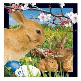 3D Lenticular Post Card - Easter BUNNY