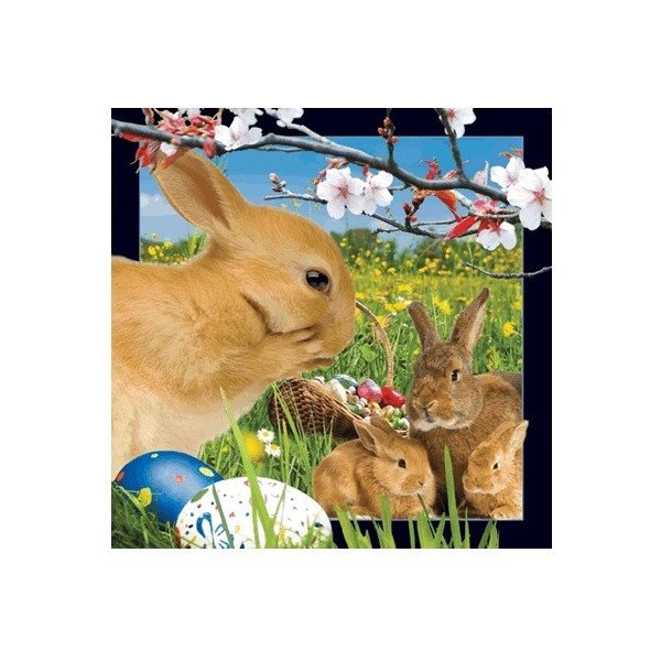 3D Lenticular Post Card - Easter BUNNY