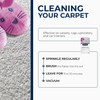 STARWAX - Dry-Cleaning Flakes for Carpets and Rugs - Clean