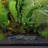 Kisangel 5pcs Fish Tank Spawning Mop Decorate Tanks Tank Fish
