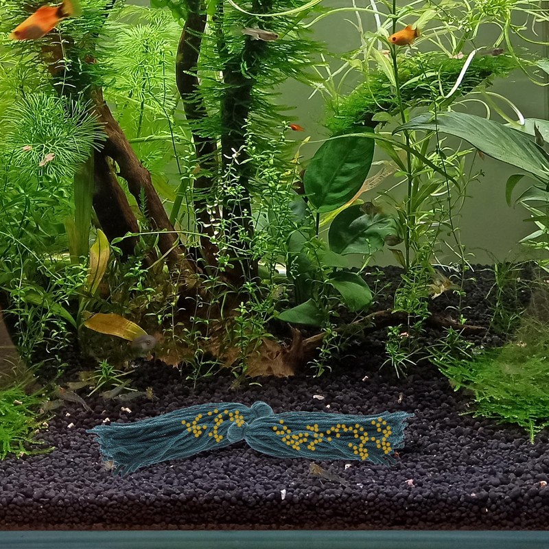 Kisangel 5pcs Fish Tank Spawning Mop Decorate Tanks Tank Fish