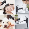HANLIAN Single Handle Pull Out Bathroom Vessel Sink Faucet with
