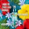 Fijador De Maquillaje Beauty Creations Tropical 100%original