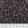 Nippon BF Co., Ltd. Blueberry & Lutein For Pets (Dogs,