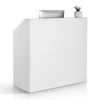 VEVOR Reception Desk, 46 Inch Rectangular Front Counter Table, Office