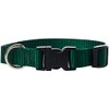 LupinePet Basics 3/4" Green 9-14" Adjustable Collar for Small Dogs