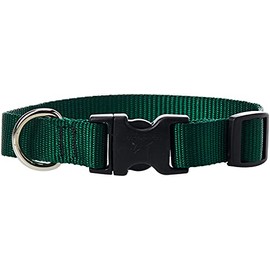 LupinePet Basics 3/4" Green 9-14" Adjustable Collar for Small Dogs