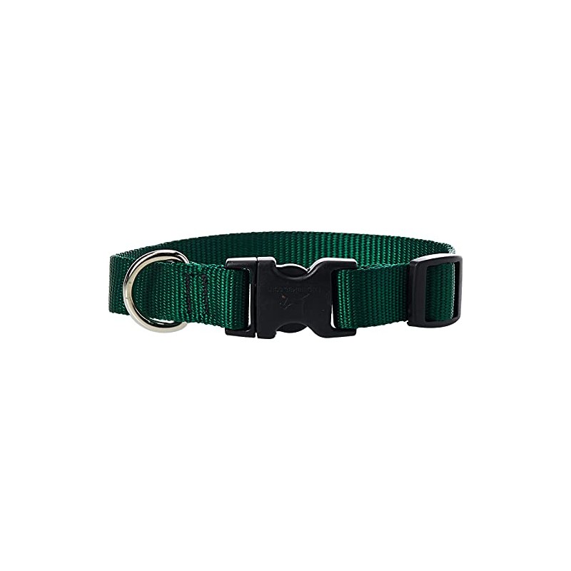 LupinePet Basics 3/4" Green 9-14" Adjustable Collar for Small Dogs