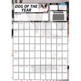 Totally Bonkers - Dog Fundraising Scratch Cards - 80 Square - A4 (297x210mm) - 5 Pack - TB0075 - Blind Card…