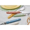 ANNOVA Silverware Set 20 Pieces Stainless Steel Color Handle With
