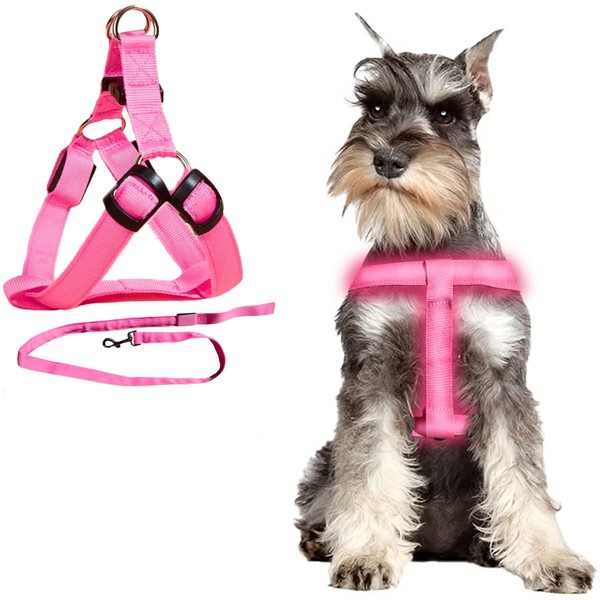 Light Up Dog Harness & Leash with 3 Light Modes