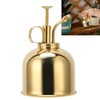 Professional Stainless Steel Watering Can with Top Pump for Succulent