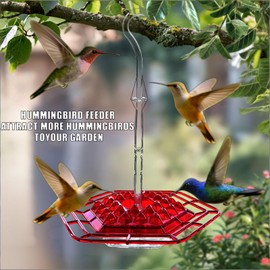 Hummingbird Feeders for Outdoors, Hummingbird Feeders with 30 Feeding Ports, Saucer Humming Bird Feeder Bee-Proof Leak-Proof No Drip, Easy to Clean and Refill (Red 2 Pcs)