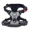 PoyPet No Pull Dog Harness with Neck Release Buckle, Reflective