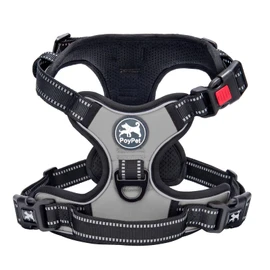 PoyPet No Pull Dog Harness with Neck Release Buckle, Reflective No-Choke Harness with 2 Leash Clip, Adjustable Soft Padded Pet Vest with Easy Control Handle for Small Dogs (Grey,S)