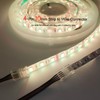 Biantie La 4 Pin Led Strip Connector 10mm RGB Strip
