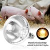 Eboxer Livestock Heat Lamp,1Pc UVA UVB Full Spectrum Sunlight Lamp