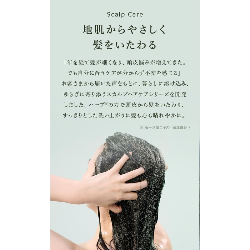 N organic Scalp Hair Care Series (Shuntre)