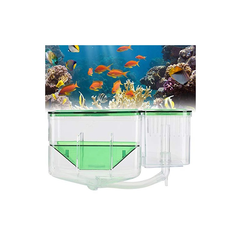 Fish Breeding Box, Acrylic Fish Hatchery Isolation Box Double Layer