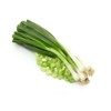 RAISE ME UP: Seeds Bunching Welsh Onion Green Non GMO