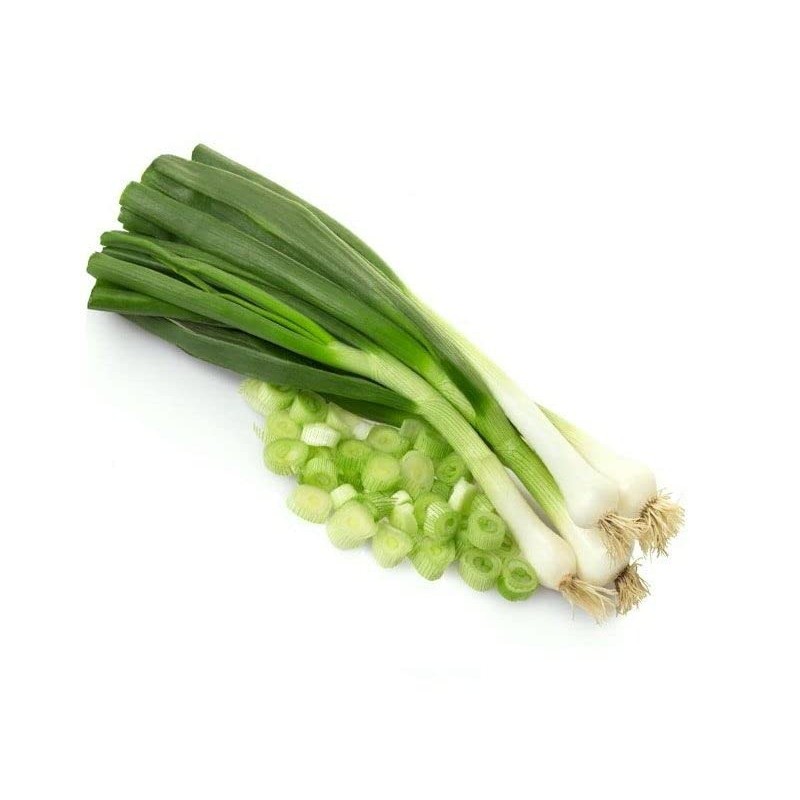 RAISE ME UP: Seeds Bunching Welsh Onion Green Non GMO