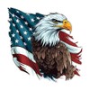 2pcs American Flag Eagle Sticker, 4.72"x4.72", Waterproof and Scratch Resistant