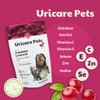 NTX BY NARTEX Suplemento Problemas Urinarios En Perros/Gatos 90g (Individual)