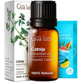 Gya Labs Catnip Essential Oil for Skin - 0.34 Fl Oz - 100% Pure Natural Catnip Oil for Diffuser, Massage & Candle Making Scent