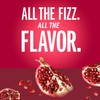 IZZE Sparkling Water Juice Beverage Blend, Pomegranate, No Sugar Added,