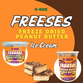 G-BOX Freeses - Freeze Dried Peanut Butter & Chocolate Ice Cream Bites, Enhanced Flavor, Crunchy, Airy, Sweet - Perfect for Camping, Outdoor, Party - Air-tight Sealed in a Deli Container (Medium)