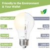Sigalux EnergyPro, High-Efficiency LED Light Bulbs A19 60W Equivalen Non-Dimmable