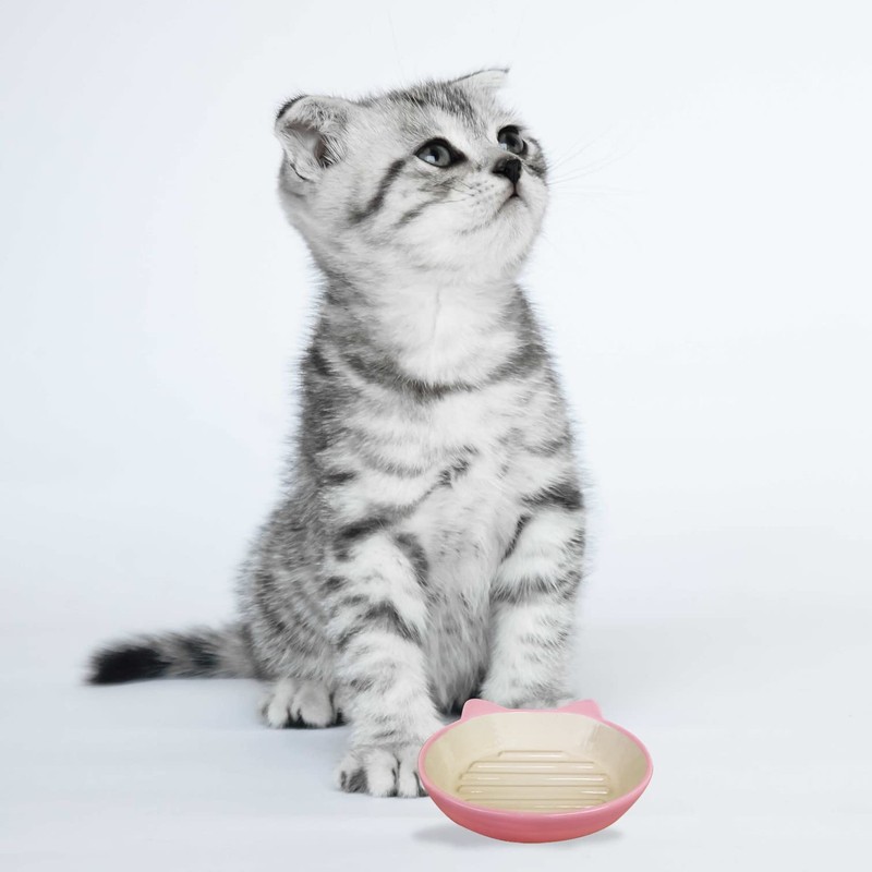 Platz Easy Diner Cat dish pink