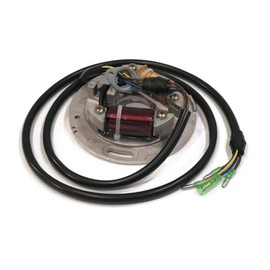 Rollers, Belts, Bearings, Pulleys and Much More- Replacement for Stator for 1991 for Kawasaki TS for Jet Ski 650 Watercraft, 210033718 JF650 Watercraft