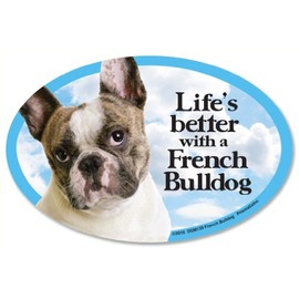 Prismatix French Bulldog Oval Dog Magnet for Cars